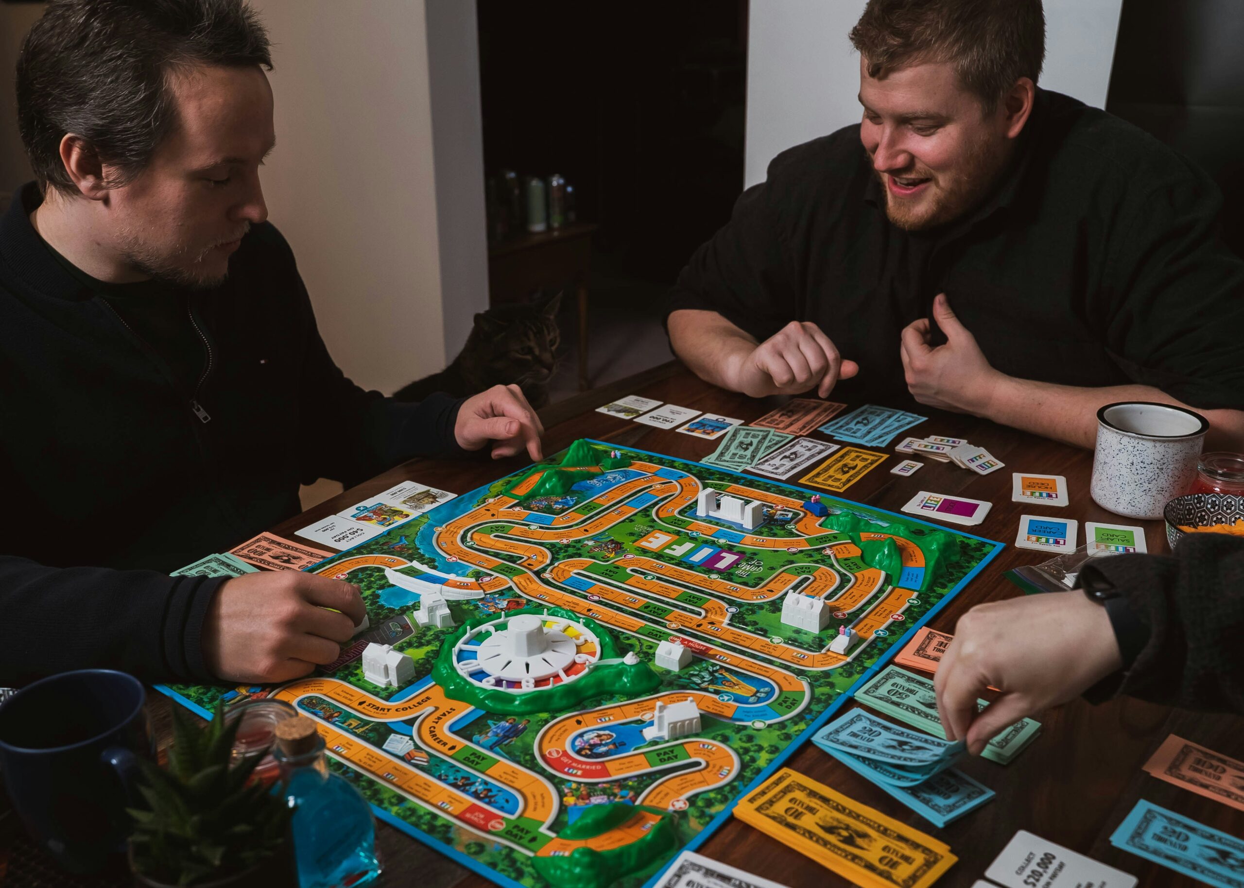 people playing the game of Life