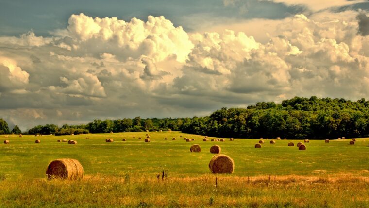 farmland